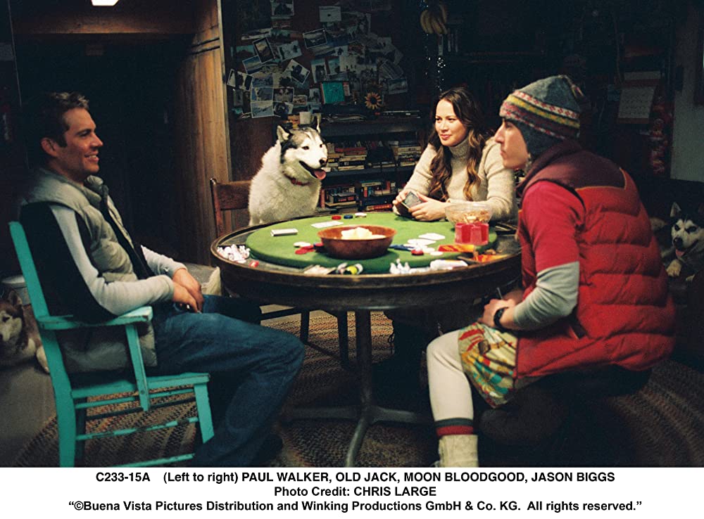 南極物語の画像