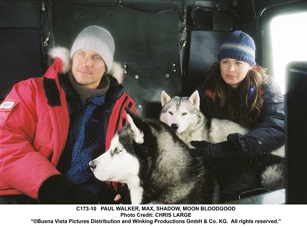 南極物語の画像