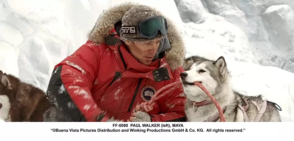 「南極物語」ポール・ウォーカーの画像