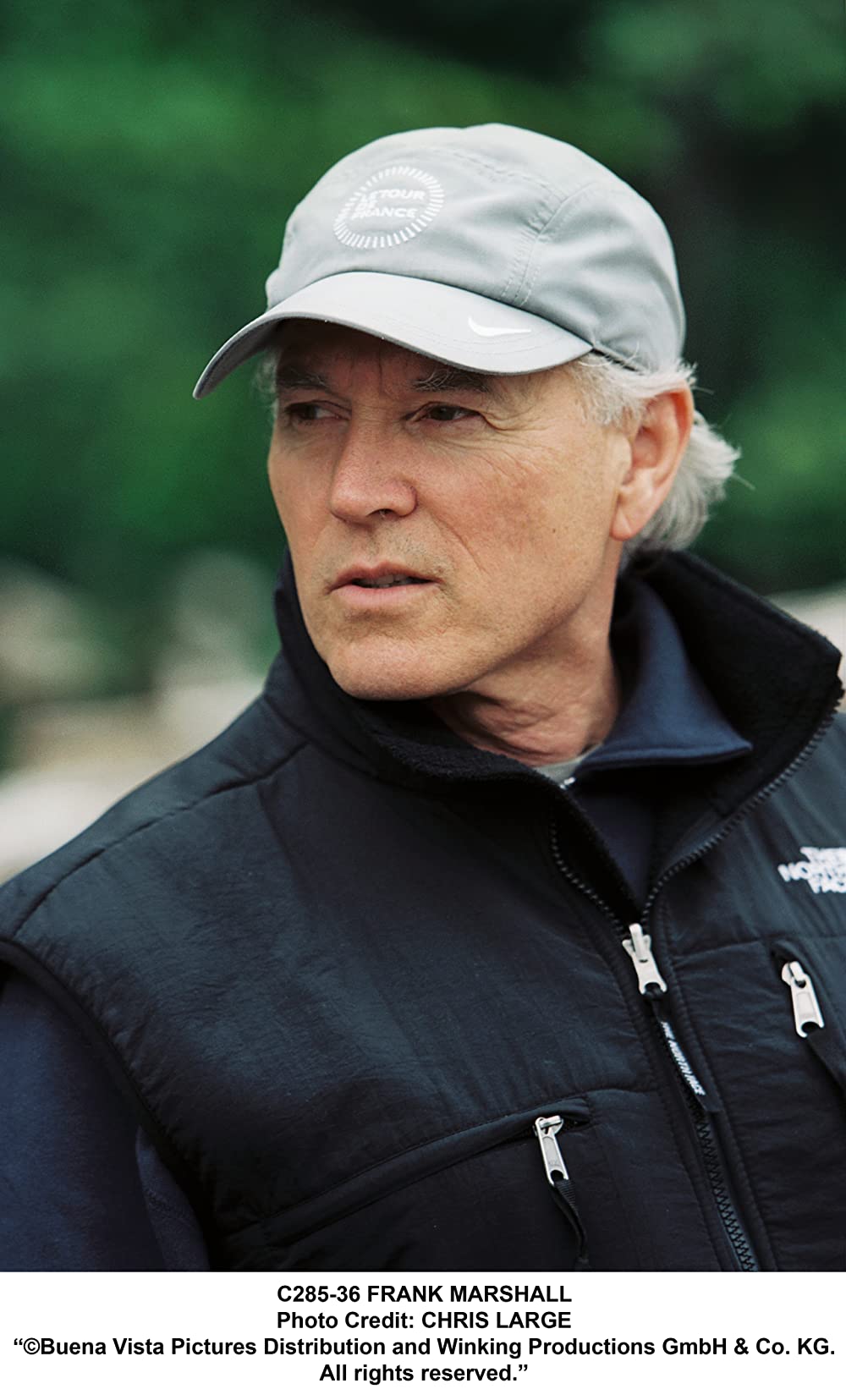 南極物語の画像