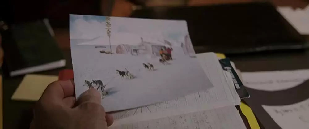 南極物語の画像