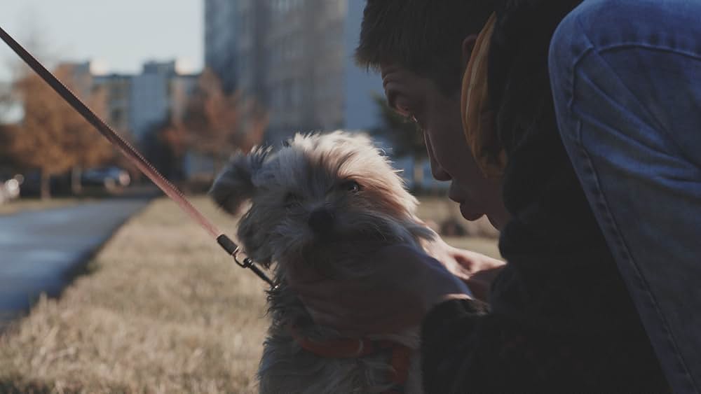 「ゼロポイント」の画像