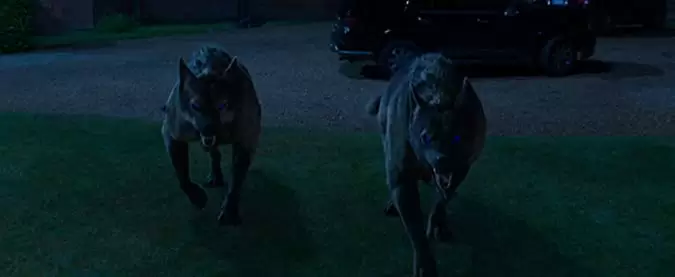 ヴァンパイア・アカデミーの画像