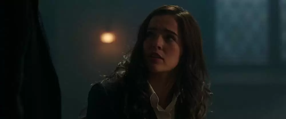 ヴァンパイア・アカデミーの画像