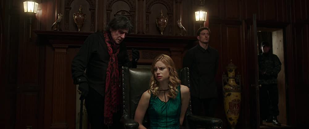 ヴァンパイア・アカデミーの画像