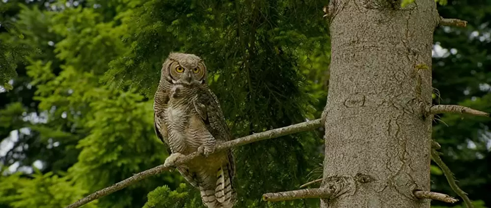 「アーサーと魔王マルタザールの逆襲」の画像