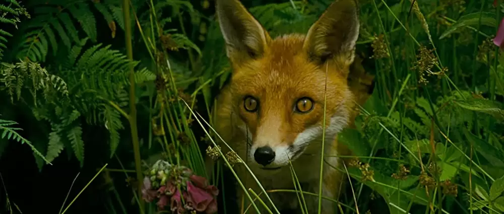 「アーサーと魔王マルタザールの逆襲」の画像