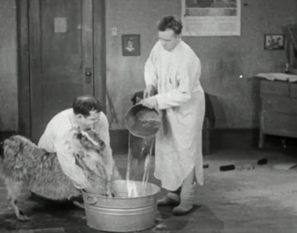 ヤギ君大好きの画像