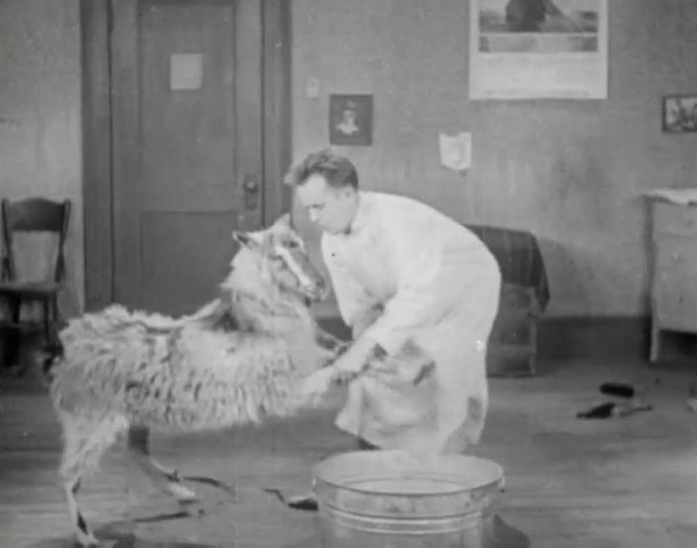 ヤギ君大好きの画像