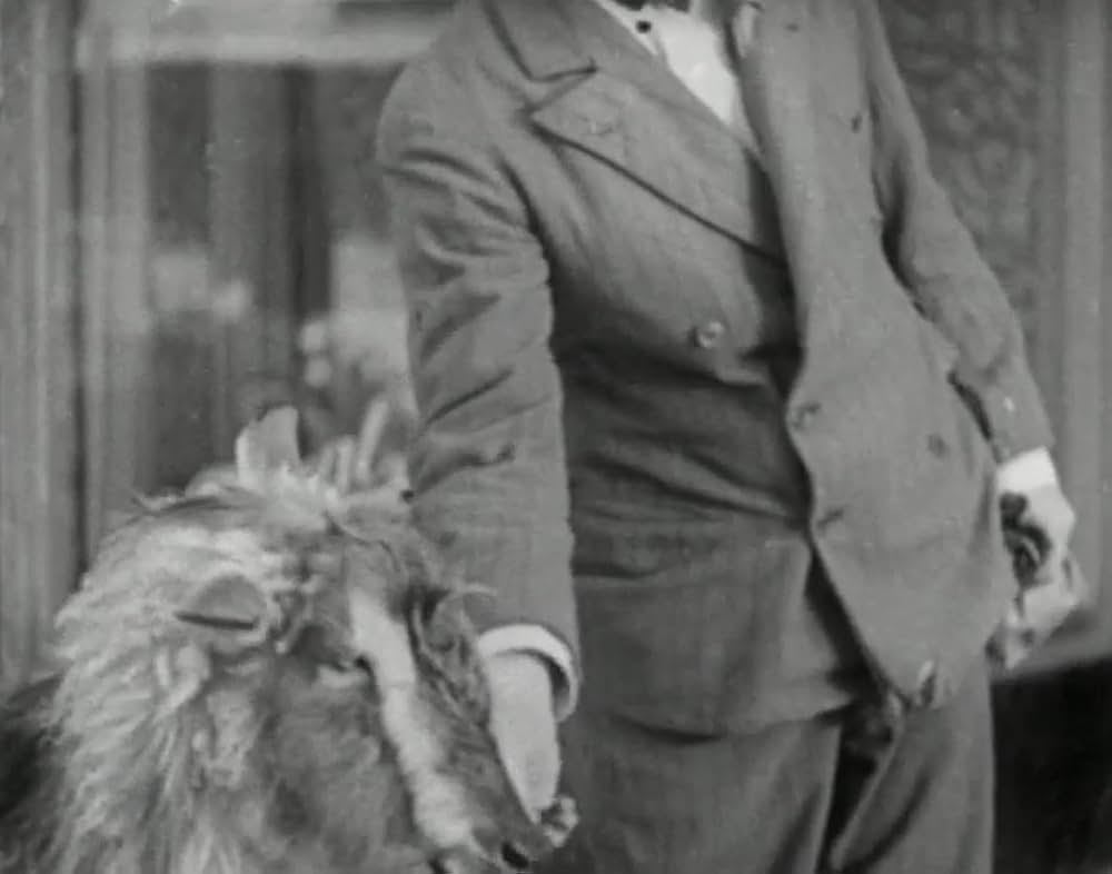 ヤギ君大好きの画像