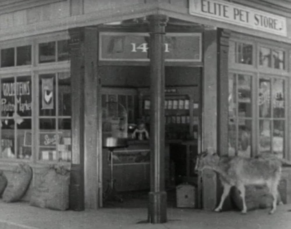 ヤギ君大好きの画像