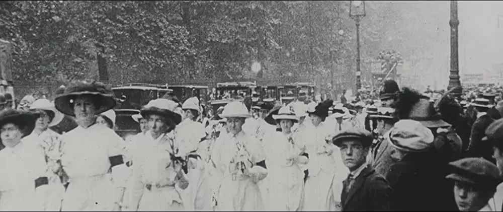 未来を花束にしての画像