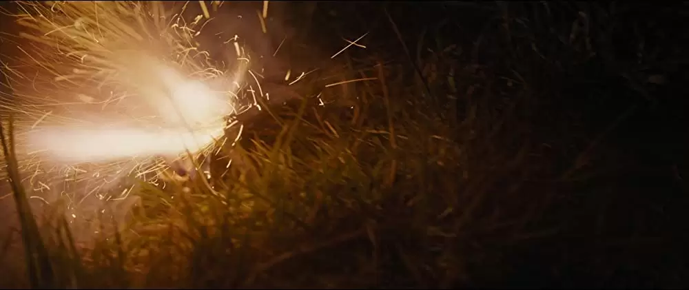 未来を花束にしての画像