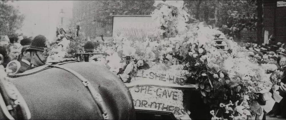 未来を花束にしての画像