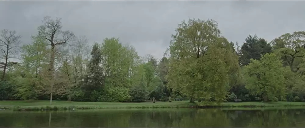 未来を花束にしての画像