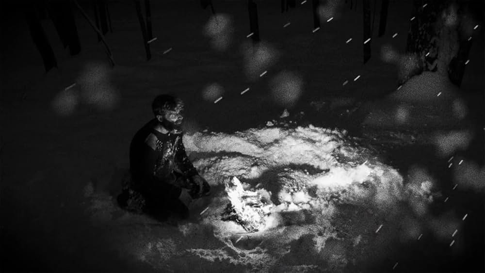 Hundreds of Beavers（原題）の画像