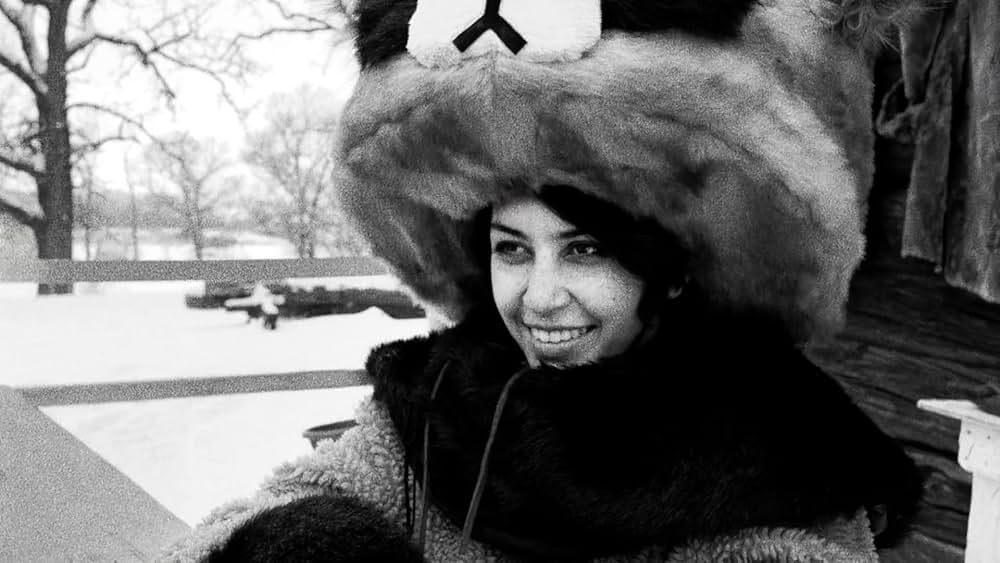 Hundreds of Beavers（原題）の画像