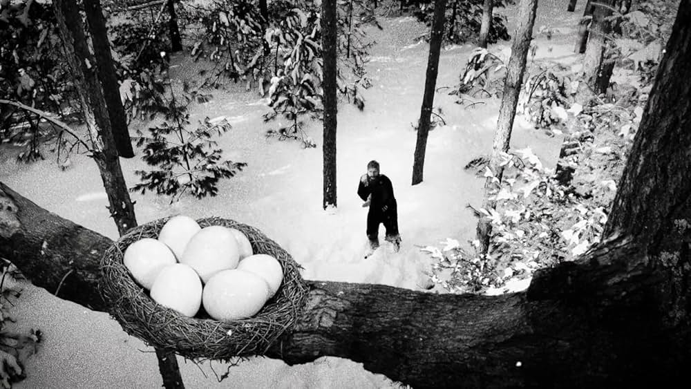 Hundreds of Beavers（原題）の画像