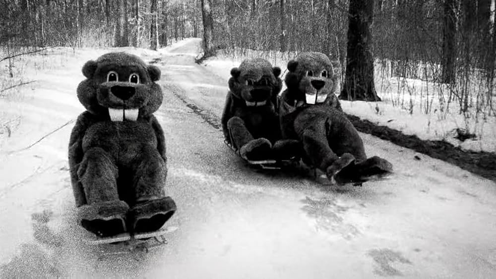 Hundreds of Beavers（原題）の画像