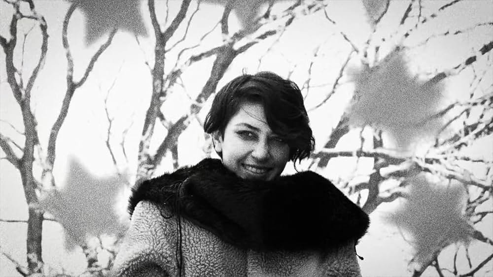 Hundreds of Beavers（原題）の画像