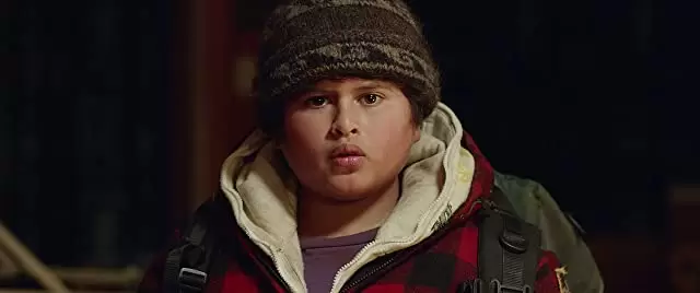 ハント・フォー・ザ・ワイルダーピープルの画像