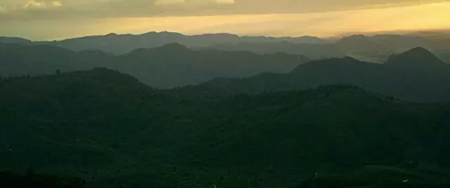 ハント・フォー・ザ・ワイルダーピープルの画像