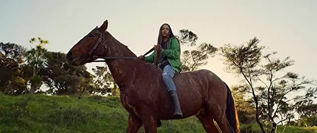 ハント・フォー・ザ・ワイルダーピープルの画像