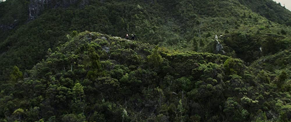 ハント・フォー・ザ・ワイルダーピープルの画像