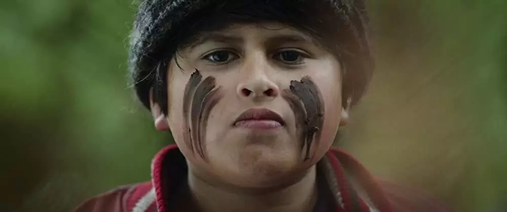 ハント・フォー・ザ・ワイルダーピープルの画像