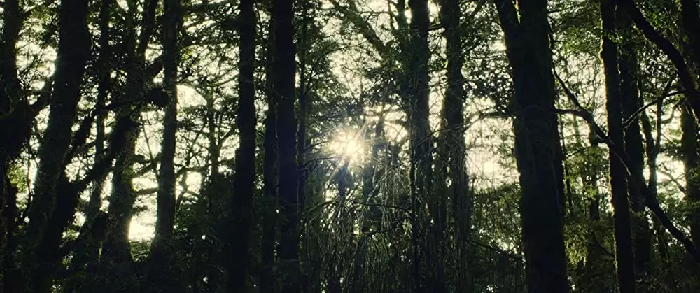 ハント・フォー・ザ・ワイルダーピープルの画像