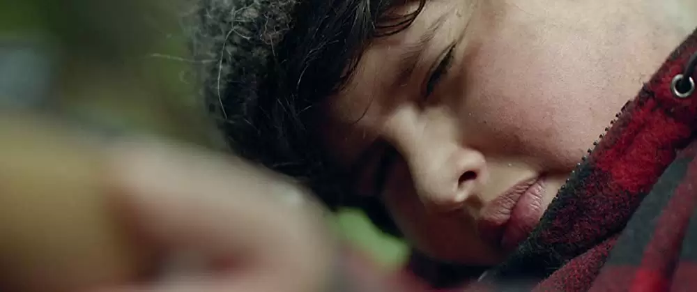 ハント・フォー・ザ・ワイルダーピープルの画像