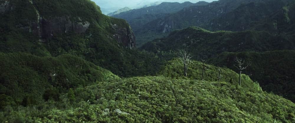 ハント・フォー・ザ・ワイルダーピープルの画像