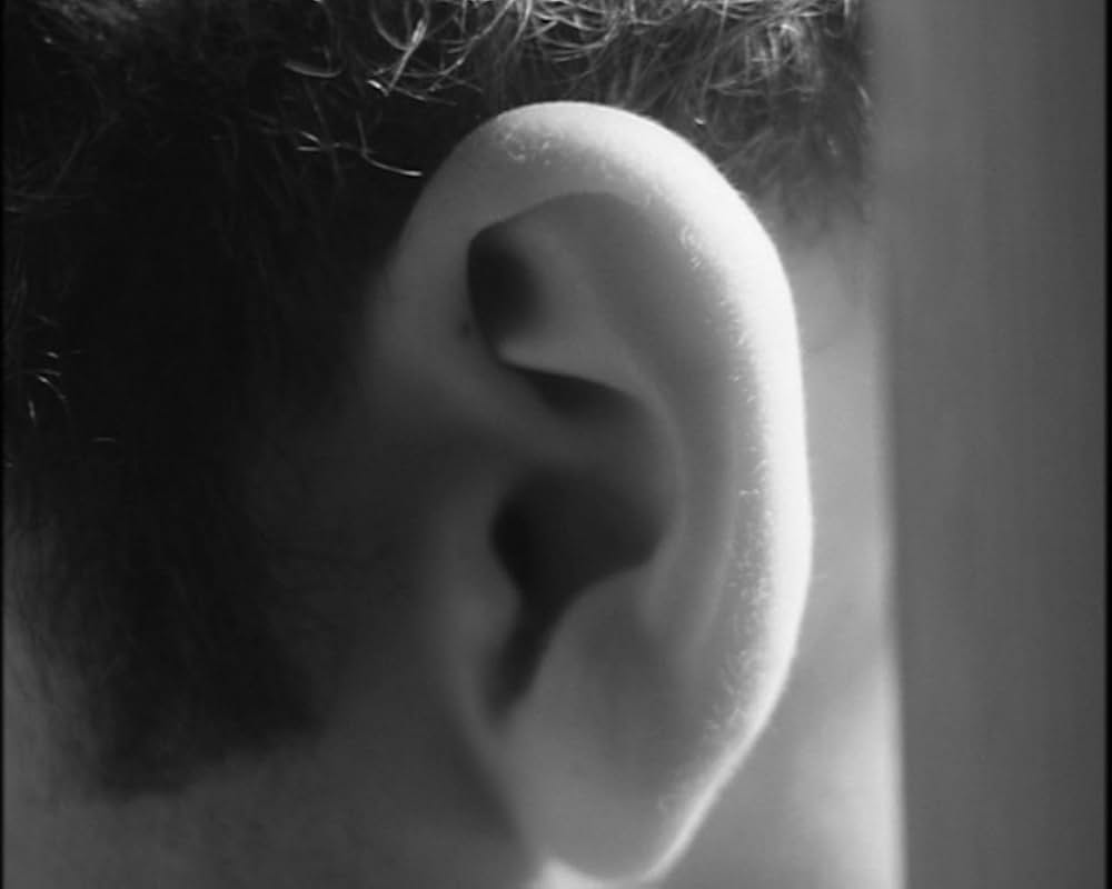 Murder à la Mod（原題）の画像