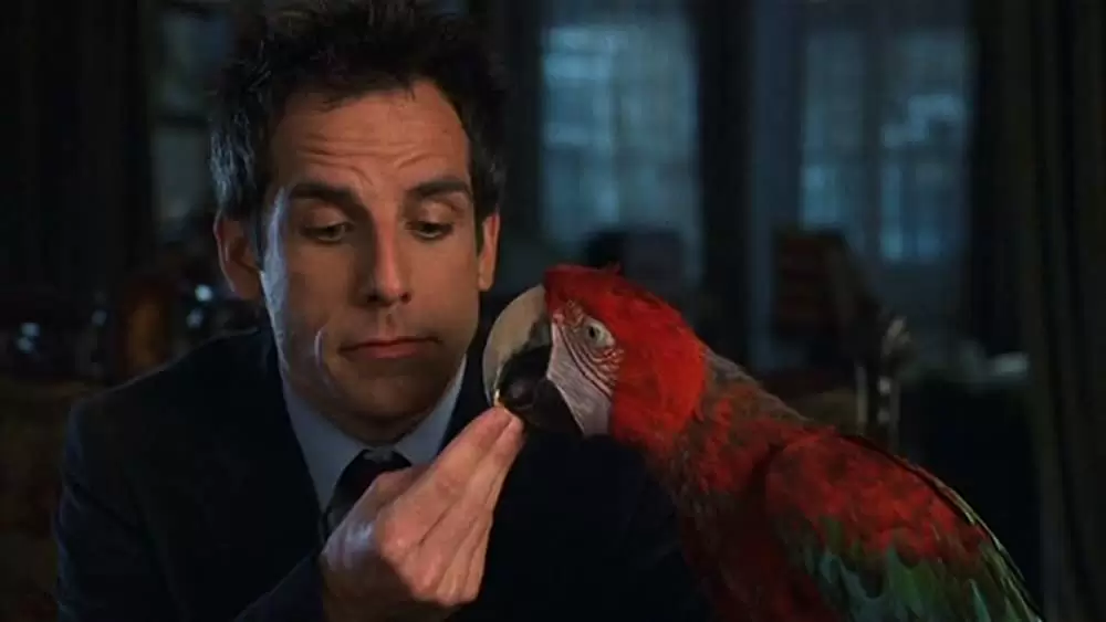 「おまけつき新婚生活」ベン・スティラーの画像