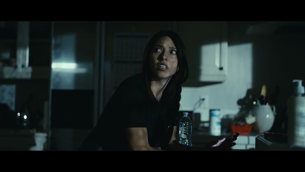 The Evil Down the Street（原題）の画像