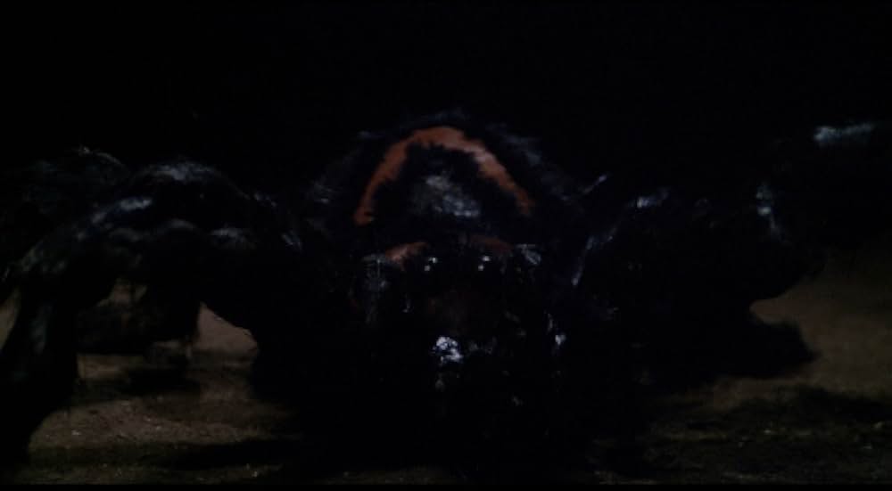 マーダー・オブセッション／殺人狂の画像