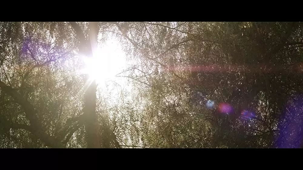 トマホーク ガンマンｖｓ食人族の画像