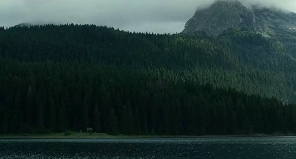 JUKAI 樹海の画像