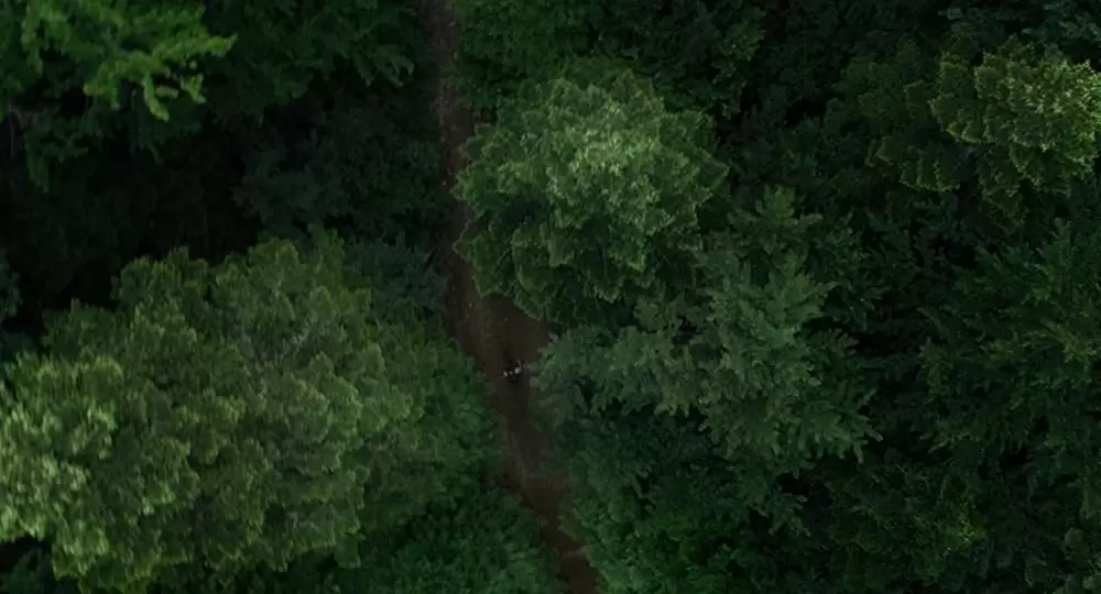 JUKAI 樹海の画像