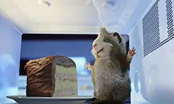 スパイアニマル Gフォースの画像