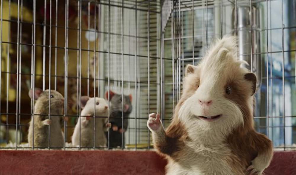 スパイアニマル Gフォースの画像