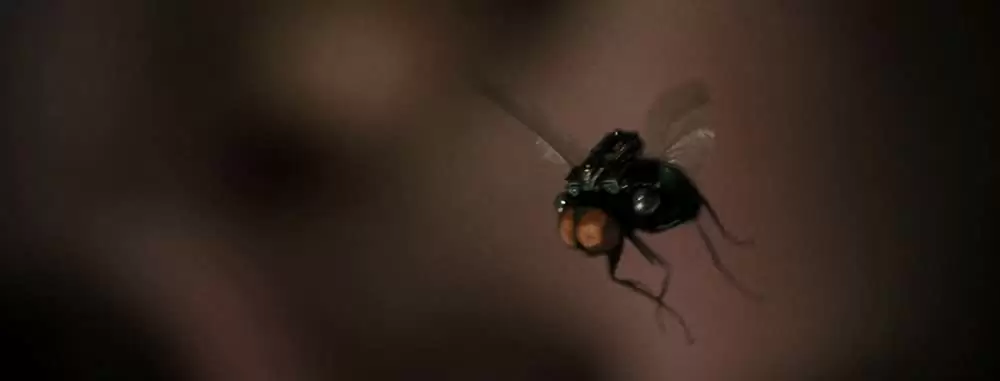 スパイアニマル Gフォースの画像