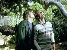 「ゾルタン★星人」アシュトン・カッチャー & ショーン・ウィリアム・スコットの画像