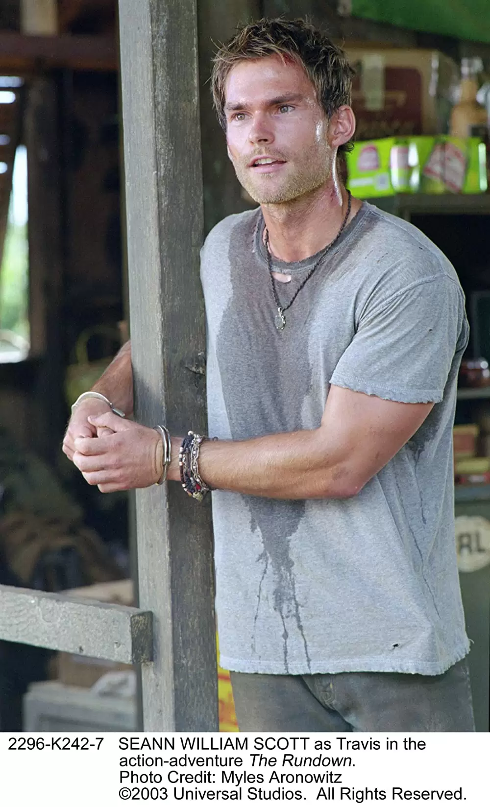 ランダウン ロッキング・ザ・アマゾンの画像