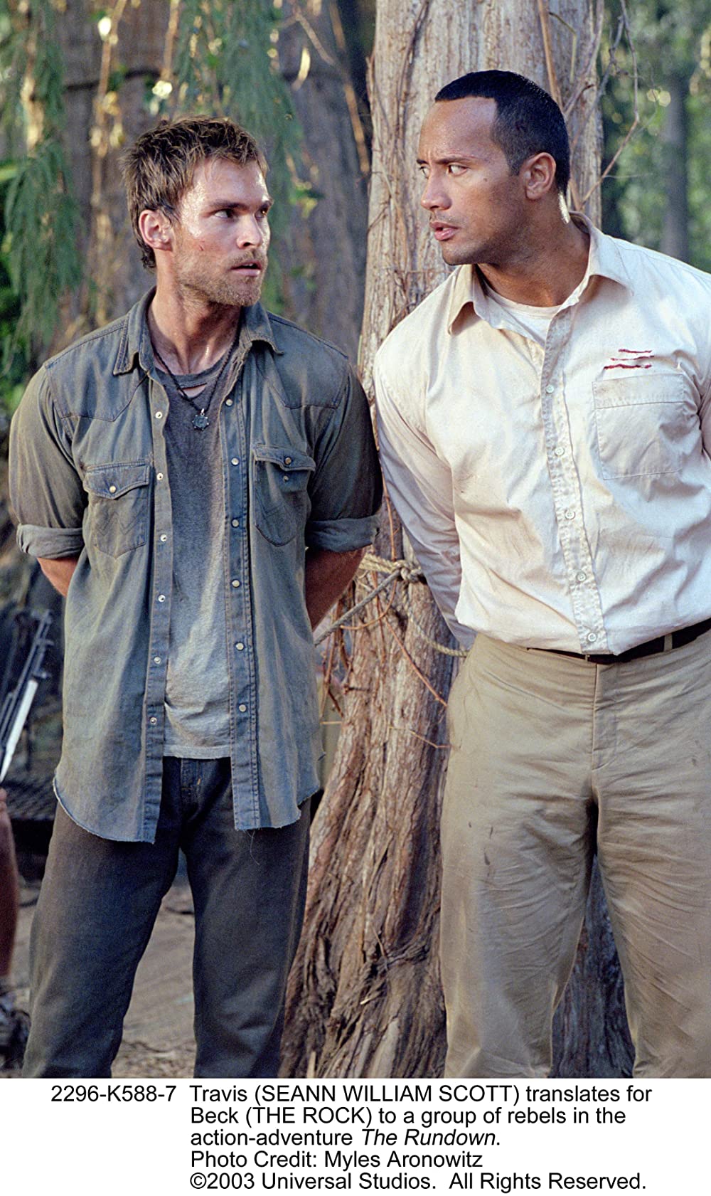 ランダウン ロッキング・ザ・アマゾンの画像