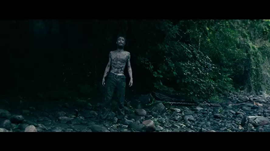 「ジャングル ギンズバーグ19日間の軌跡」グレッグ・マクリーン & ダニエル・ラドクリフの画像