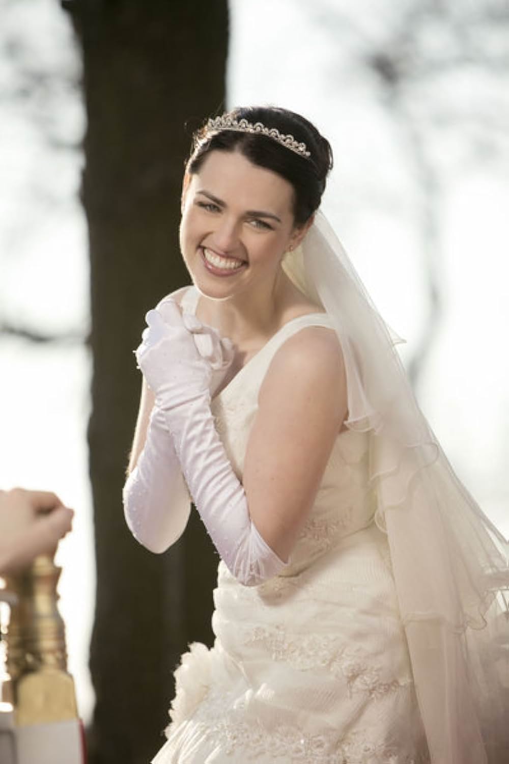 A princess for christmas （原題）の画像