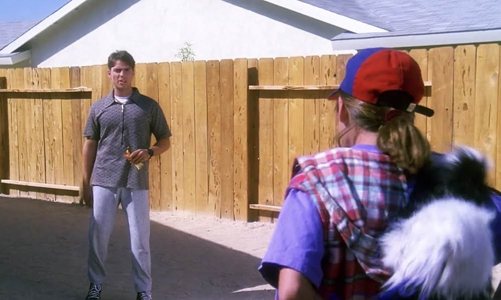 不思議なペットショップの画像