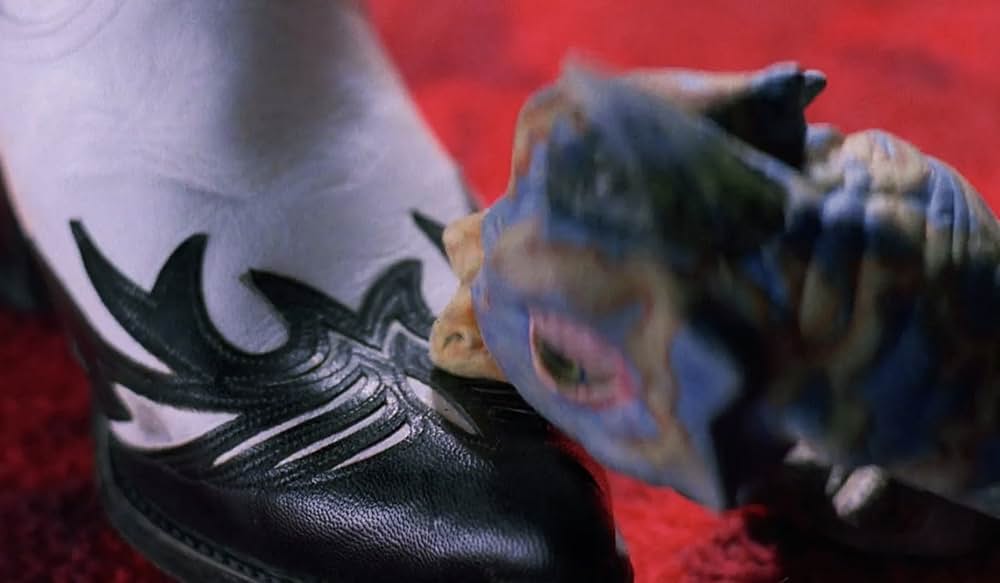 不思議なペットショップの画像