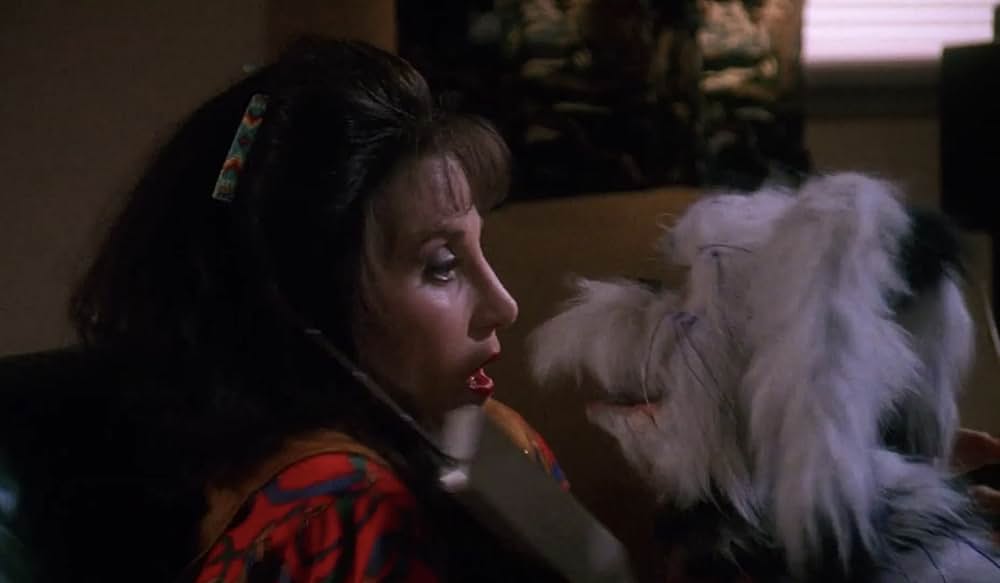 不思議なペットショップの画像